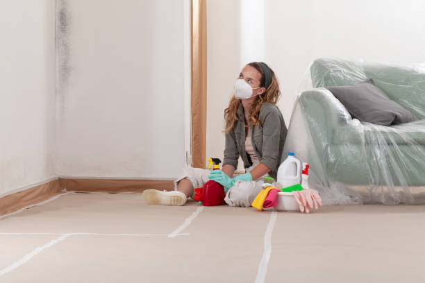 Reliable Mold Cleanup contractor in Bridgeport, TX by Cheap Mold Removal
